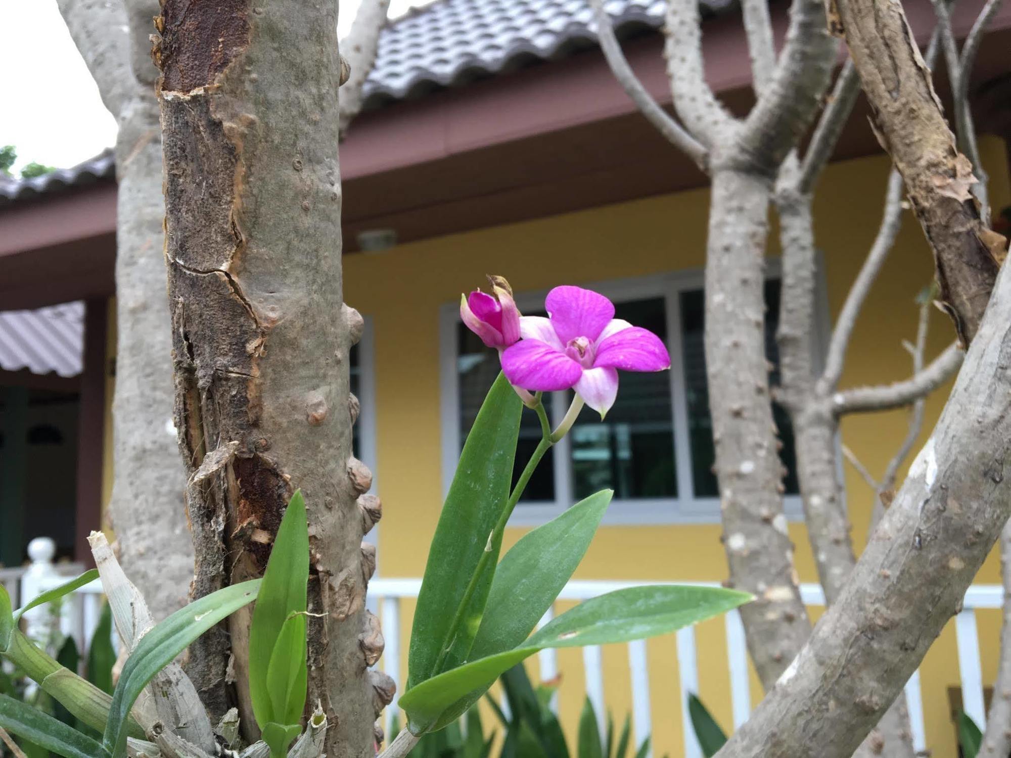 Baan Penny Hotel Phra Nakhon Si Ayutthaya Luaran gambar